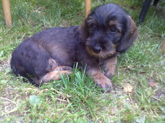 Nový prírastok do rodiny