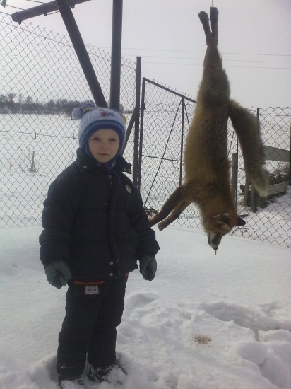 líška a malý poľovnik