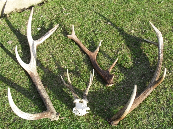 Na velky piatok,aj ked stare velmi potesili