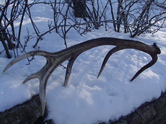 Inspiracia na tuto sezonu