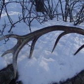 Inspiracia na tuto sezonu