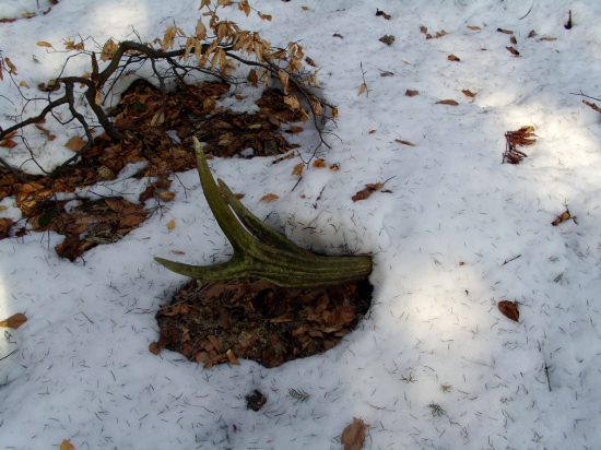 5 rokov takto tu lezal