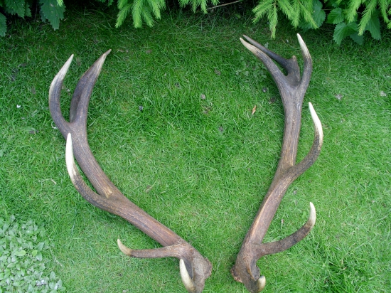 konecne ich mam spolu