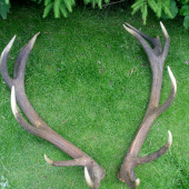 konecne ich mam spolu