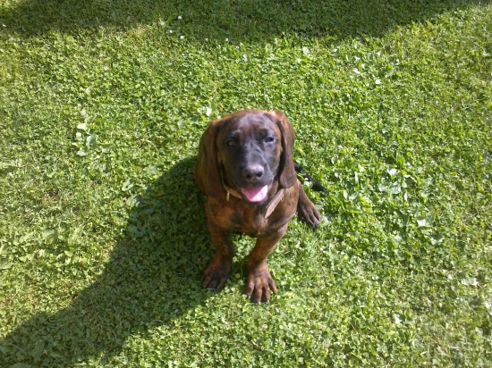 Filomena z Gronera (4 mesiace)