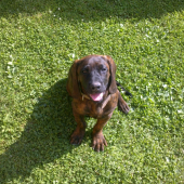 Filomena z Gronera (4 mesiace)