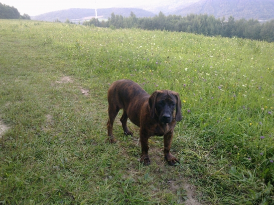 Filomena z Gronera (6 mesiacov)