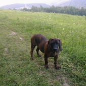 Filomena z Gronera (6 mesiacov)