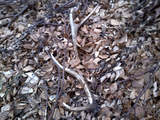 ...konečne už aj ja mám tohto sezónny prvý...