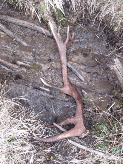 konecne som ho nasiel