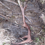 konecne som ho nasiel