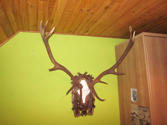 konecne na pravom mieste