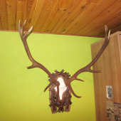 konecne na pravom mieste