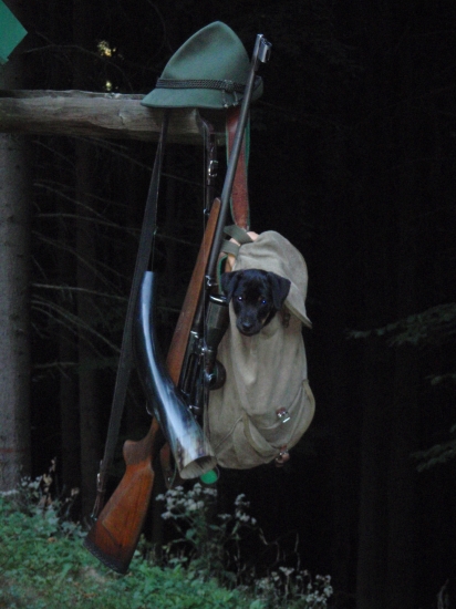 Keď som sa učil poľovať ...