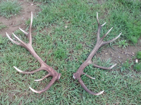 14_torak znova spolu :)