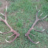 14_torak znova spolu :)