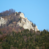 skala