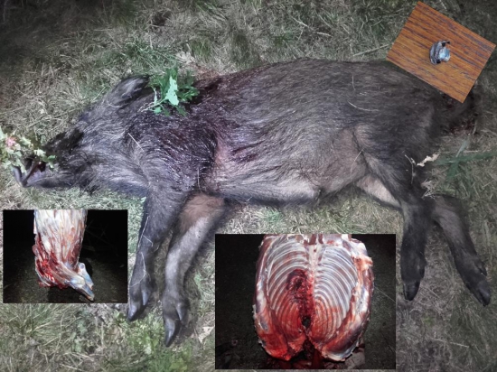 8x57js Sako Hammerhead