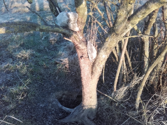 Doplnenie solnika -3