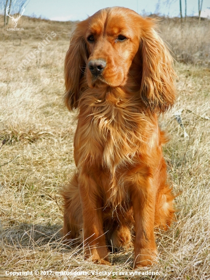 Max