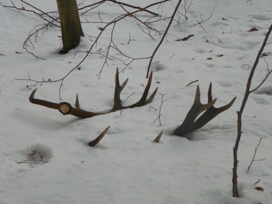 Sobotňajšie šťastie