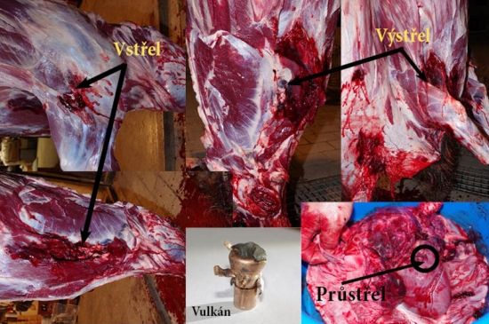 VULKAN 156gr 6,5x55 SE