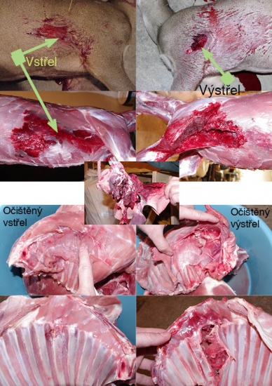 VULKAN 156gr 6,5x55 SE