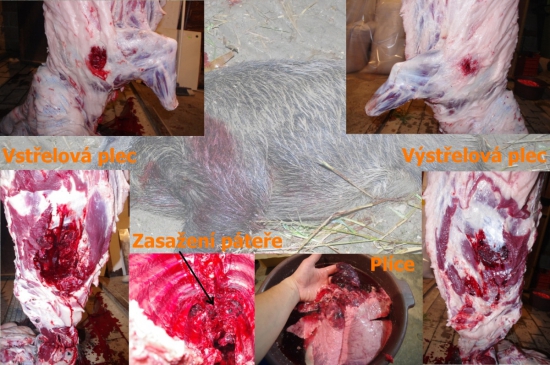 Hornady Interlock 9,1g 6,5x55 SE