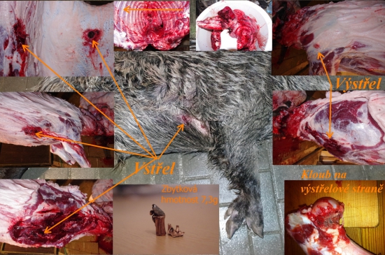 Hornady Interlock 9,1g 6,5x55 SE