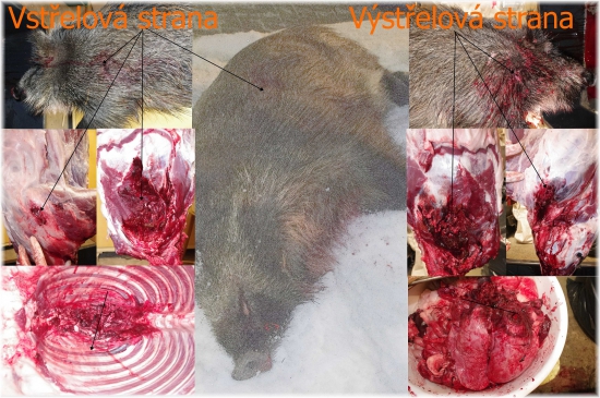 Winchester Power Point (CXP2) 140gr 6,5x55 SE