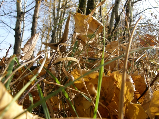 nedeľné ráno v práci