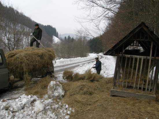 zima pretrváva - makáme