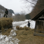 zima pretrváva - makáme