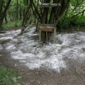 trošku som zasnežoval..:)