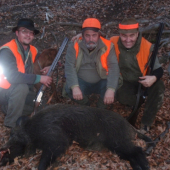 spoločna polovačka na diviaky