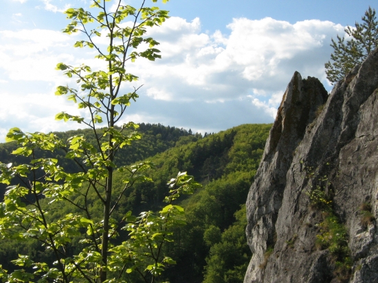 R.Teplice a okolie