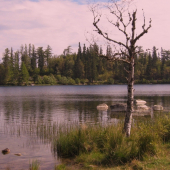 keď bolo lepšie počasie ...