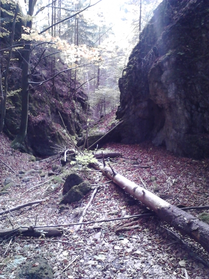 canyon
