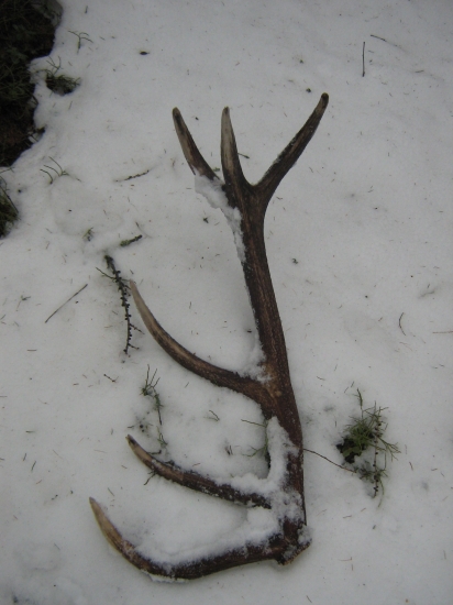 ale nie nebola to haluz...