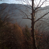 prechádzka jesennou prírodou