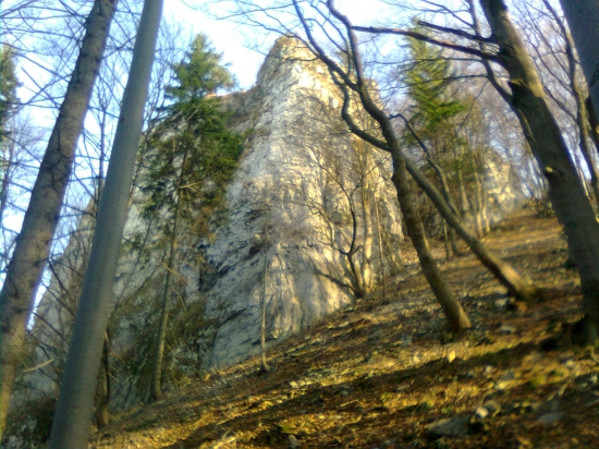 Radová skala