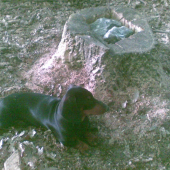 Nové solisko už naplnené