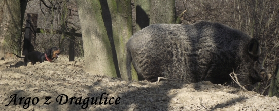 Dávid a Goliáš :)