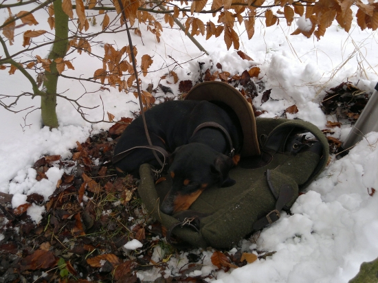 Nezvyčajne, na štande..