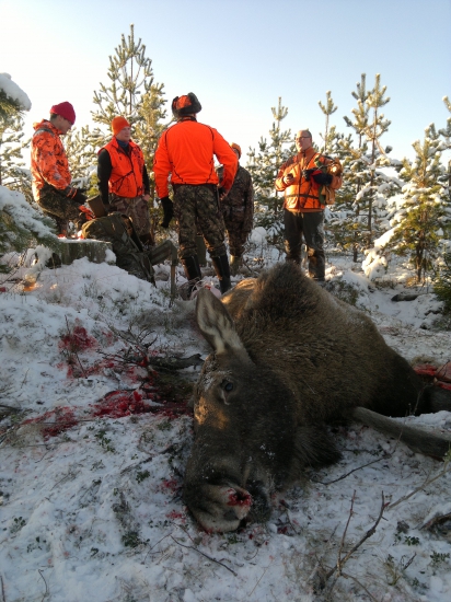Momentka po úspešnom love