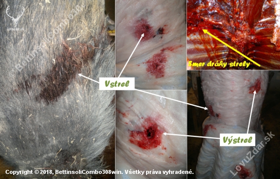 Lapua Naturalis 11,0 g .308 Win. vs Diviak