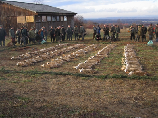 zaječí hon MS Pomoraví Vnorovy