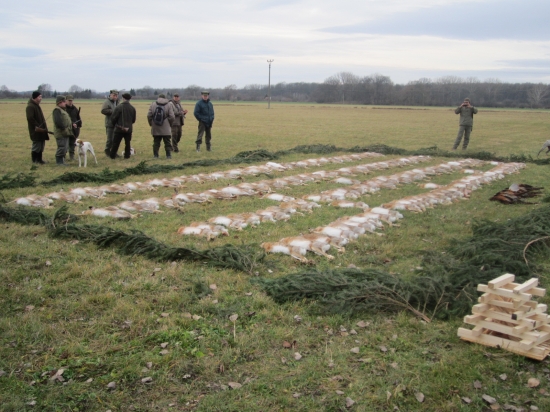 Na Štěpána néni pána!