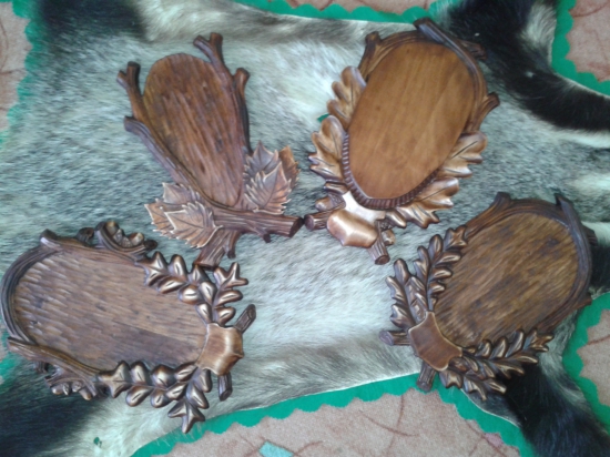 pod srnce do nastávající sezony