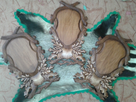 už možů jet do světa